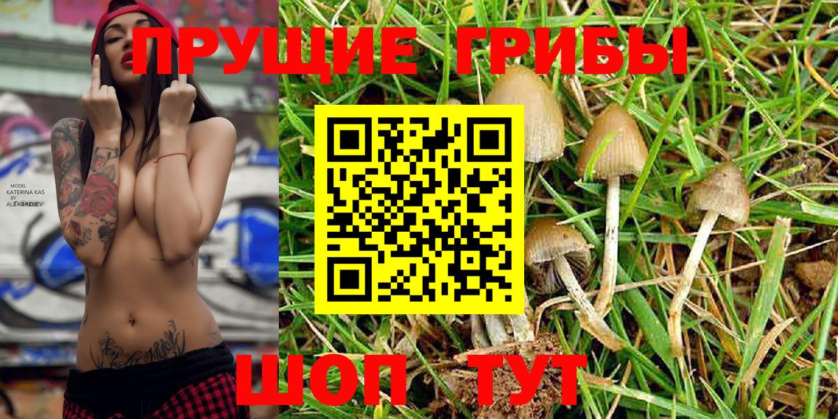 Галлюциногенные грибы MAGIC MUSHROOMS  Галлюциногенные грибы MAGIC MUSHROOMS  Владивосток  что такое   Вход с VPN 